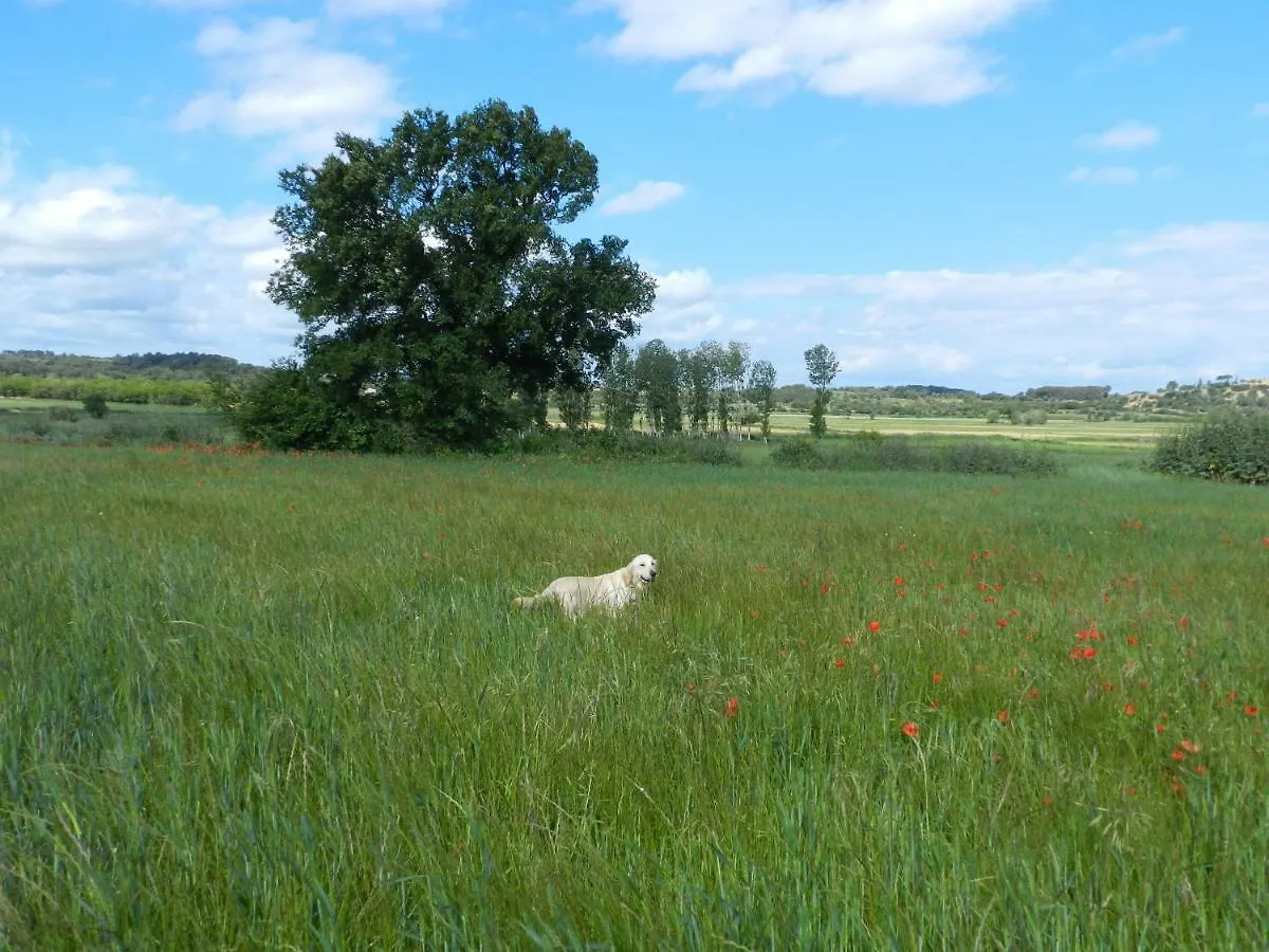 Vila Mas Blanc Ullastret 0*,  Španělsko